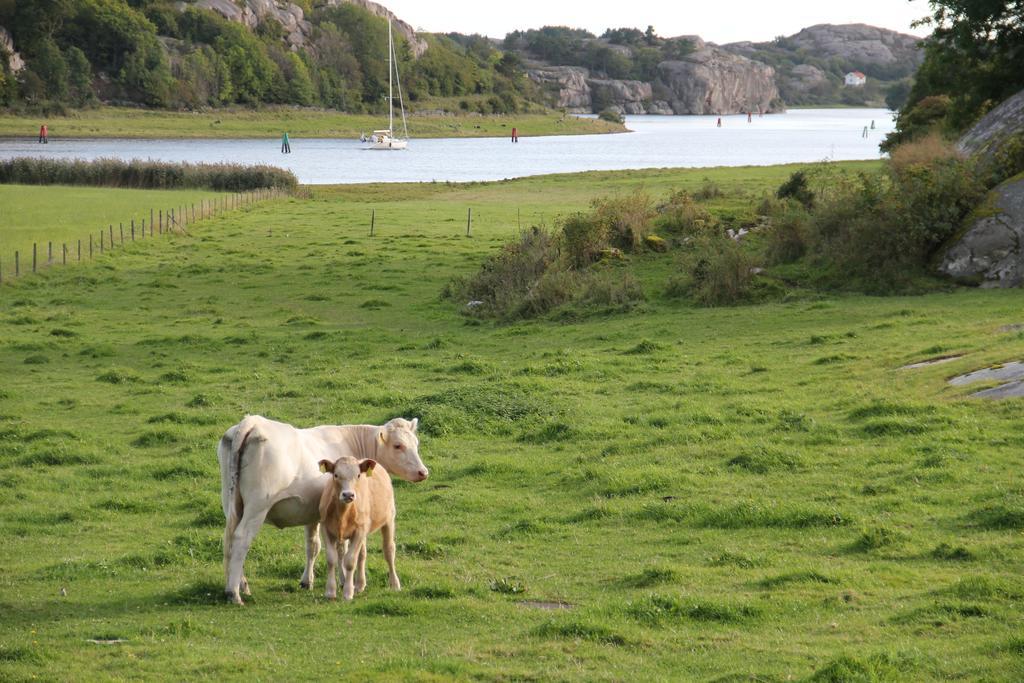 A Pousada Ramsviks Overgard Hunnebostrand Exterior foto